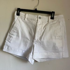 Everlane Cotton Twill Shorts Sz 10